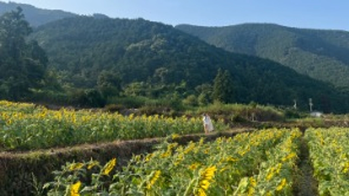 【CREW TAMBARA 活動への想い】メンバー　山内麻美より