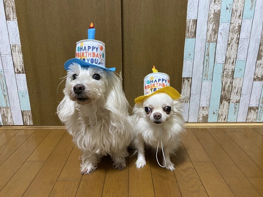 目標金額達成のお知らせ