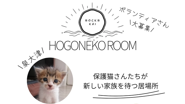 動物保護活動継続の応援を宜しくお願い致します！