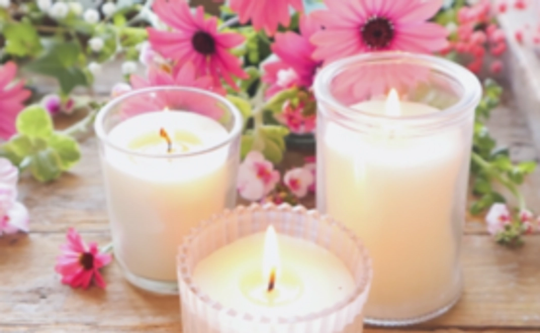 応援3000円コース