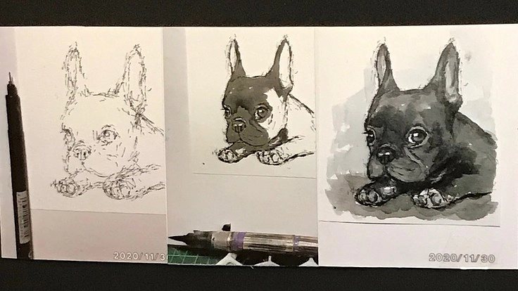 マーカーペンと筆ペンだけで描く動物イラスト教室を開きたい