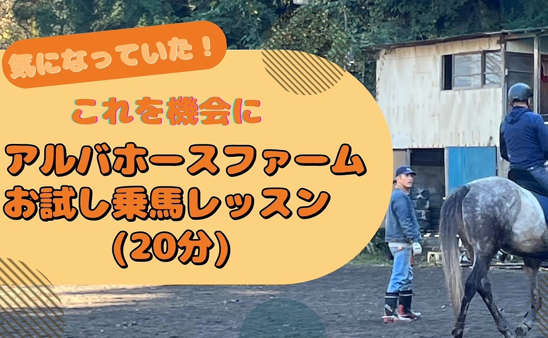 アルバの乗馬体験（２０分）