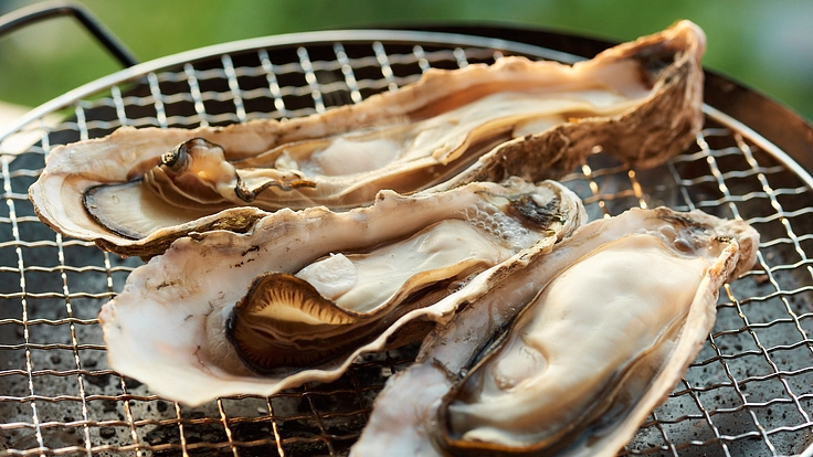 北海道のブランド海産物をネットショップで旬の物を買えるようにしたい