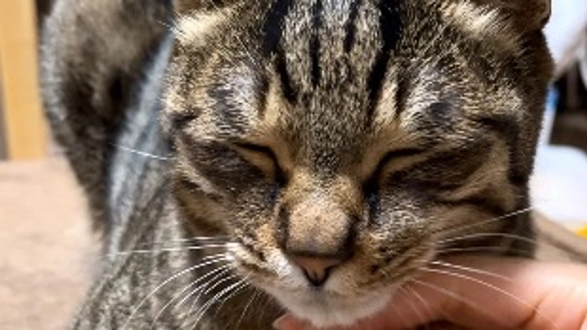 今日のなっちゃん