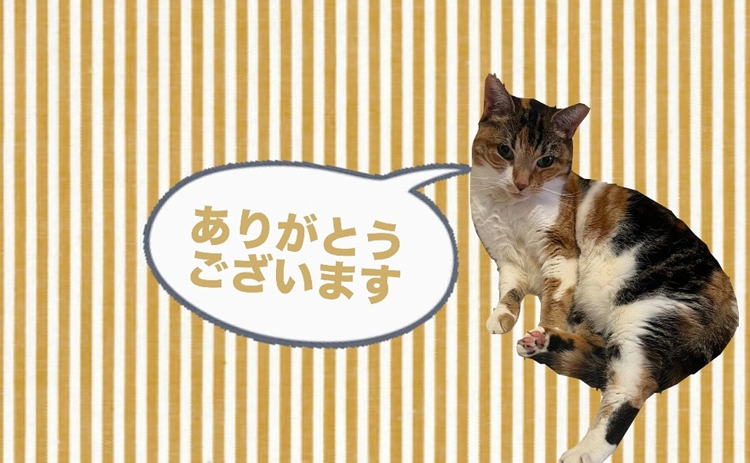 ロビンへの応援【2】