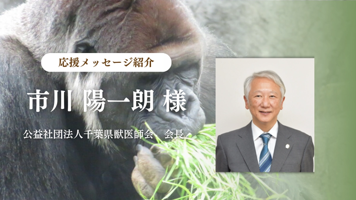 公益社団法人千葉県獣医師会　会長 市川 陽一朗様からの応援メッセージのご紹介