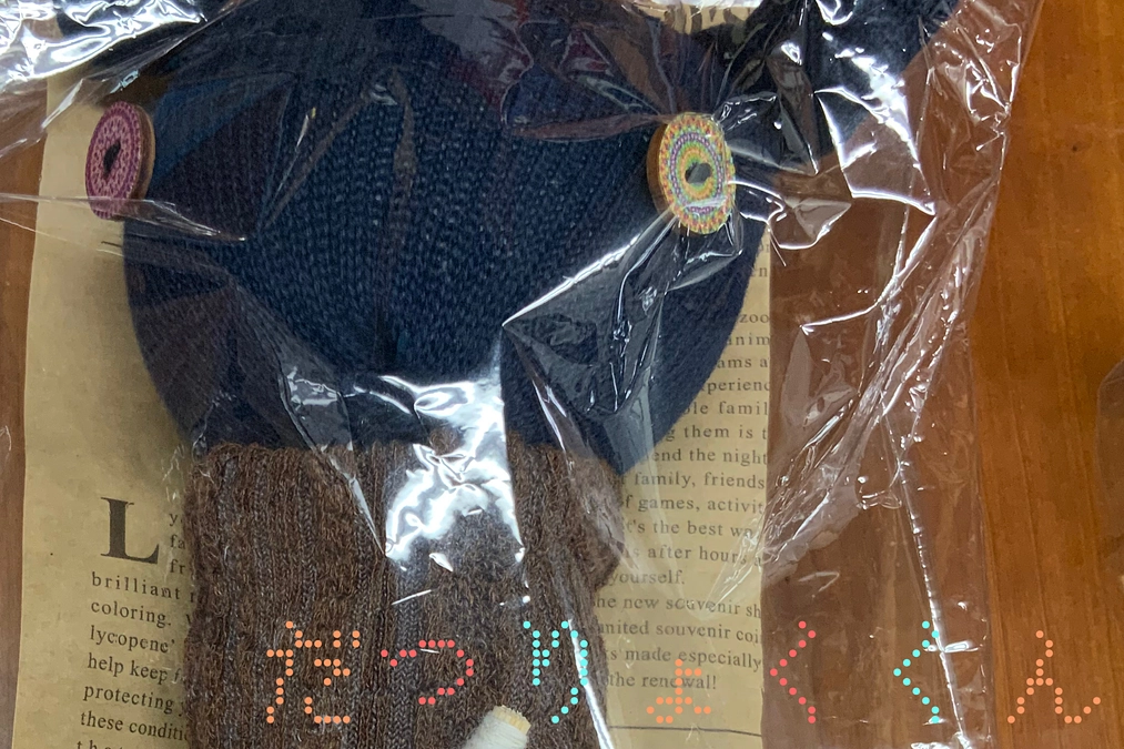 25日間の挑戦！残り11日