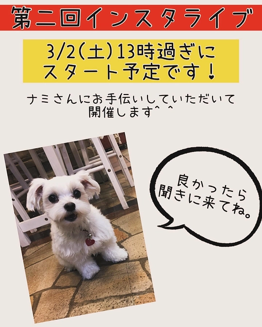 3/2(土)13:00インスタライブ