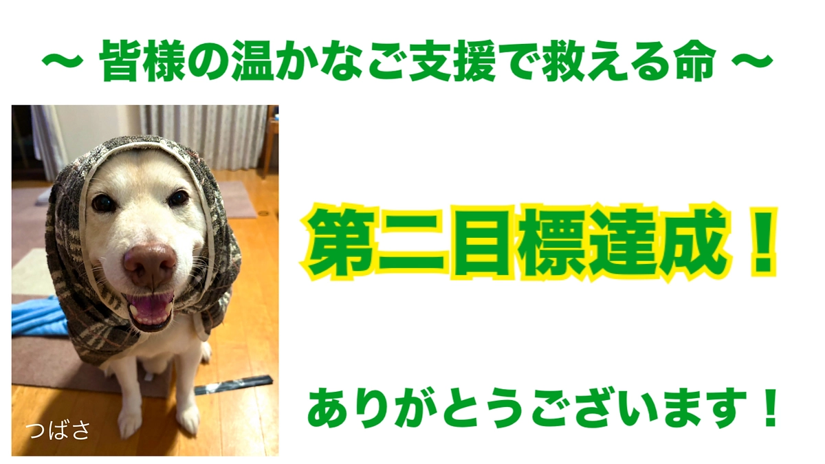 【第二目標達成のお礼】今後について〜終了まであと1日〜