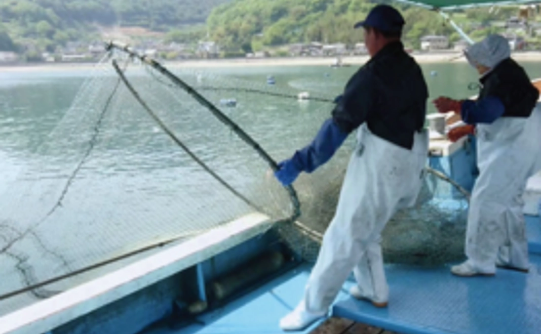 漁業体験と漁師飯コース