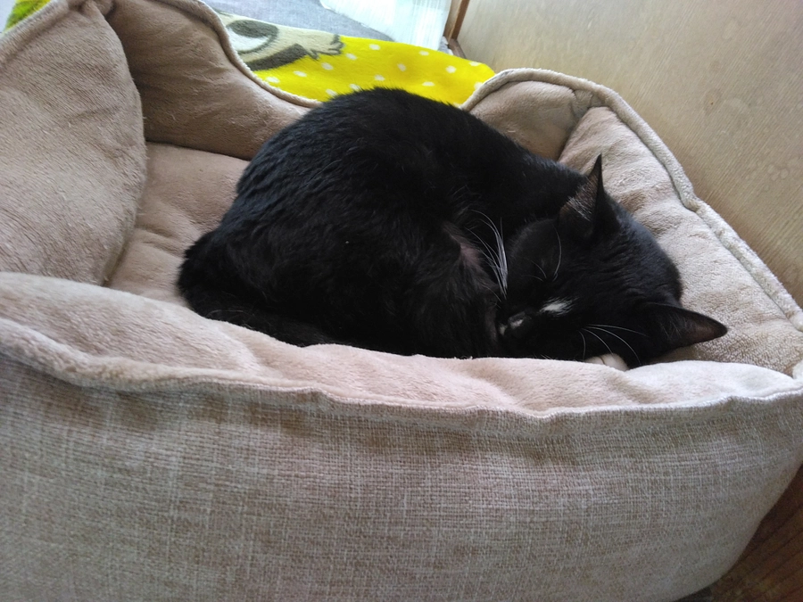 5/17はなちゃんの様子