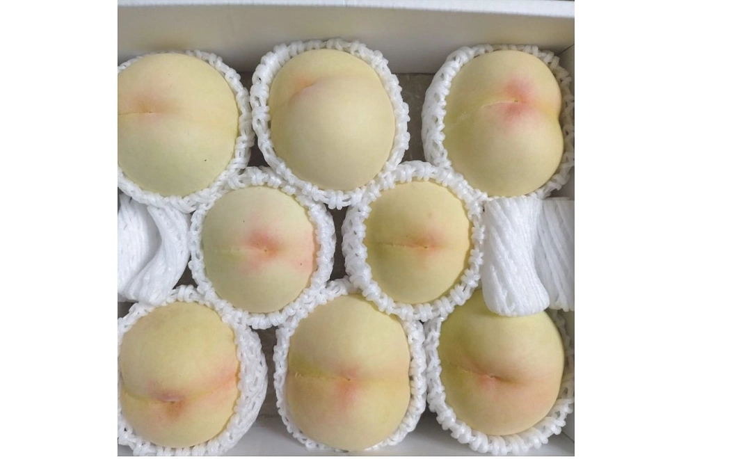 清水白桃（2キロ箱：8～9玉入り）【贈答用】