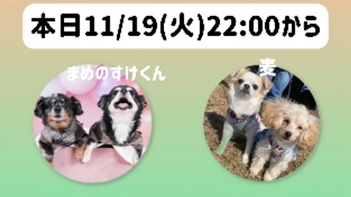 本日22時からインスタライブします🌟