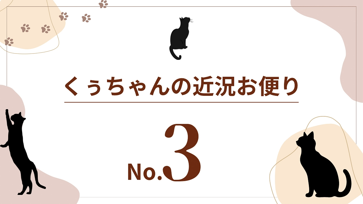 【くぅちゃんの近況おたより（8月2日〜5日）】