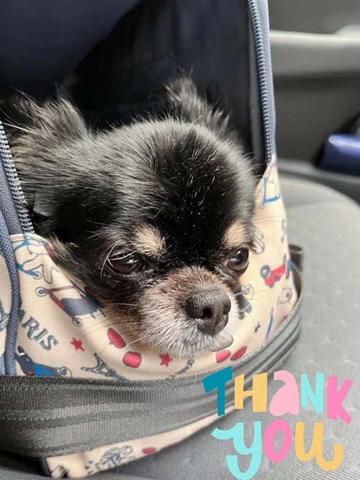 リターンにつきまして