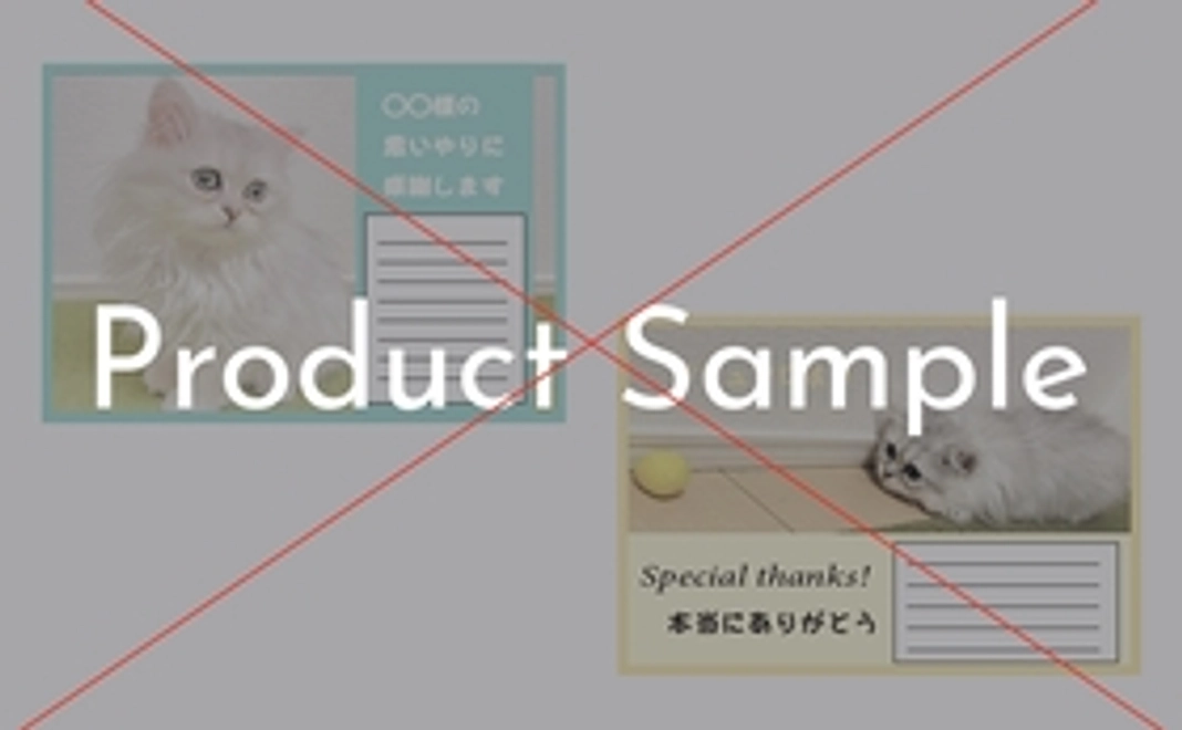 感謝のメール（マシュの写真付き）とポストカード