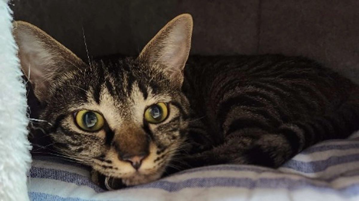 楓日記(10月16日)クラウドファンディング終了まで残り４日💦