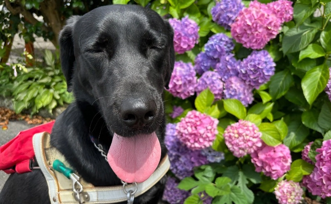 税額控除対象：3,000円コース