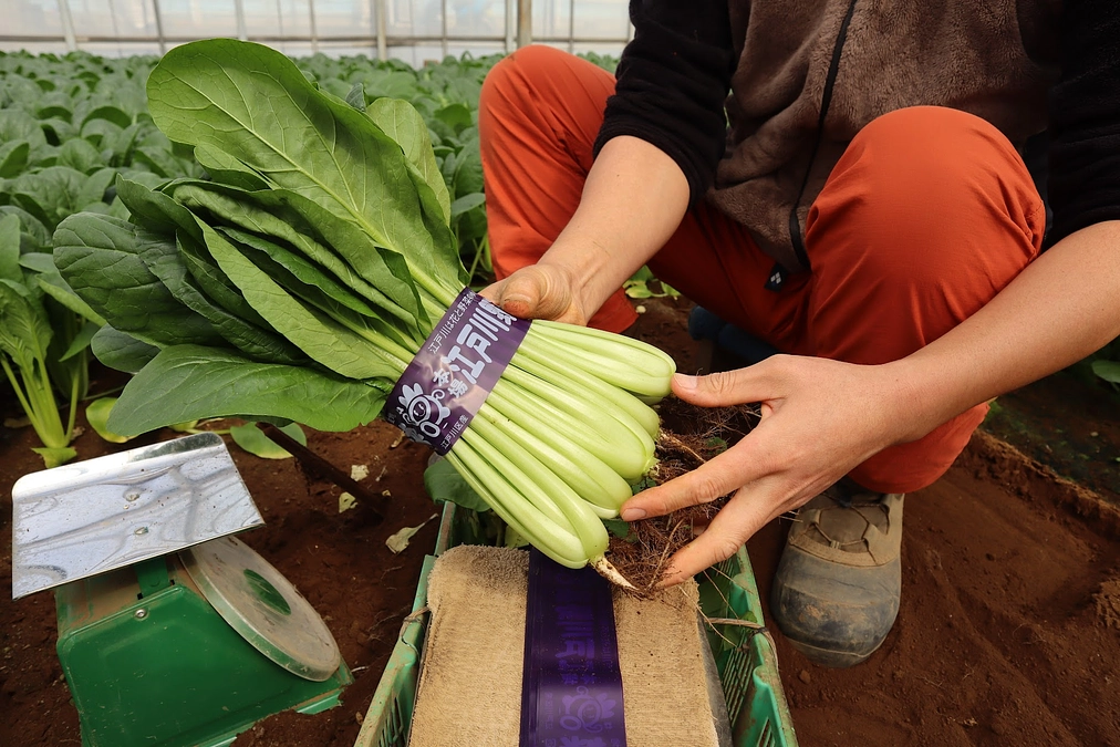 支援額が目標金額の50％の1,500,000円を突破しました！