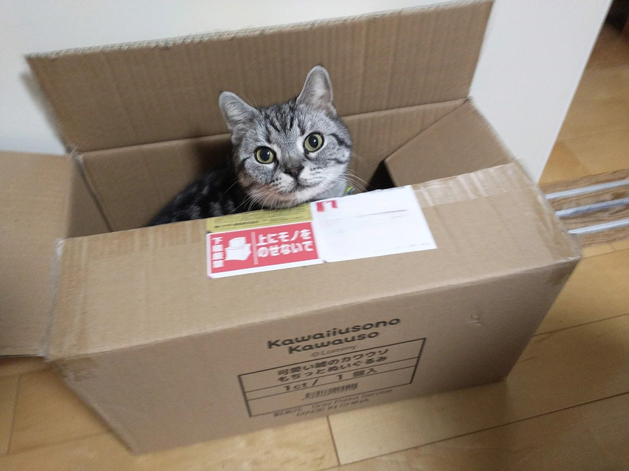 最終のご報告です