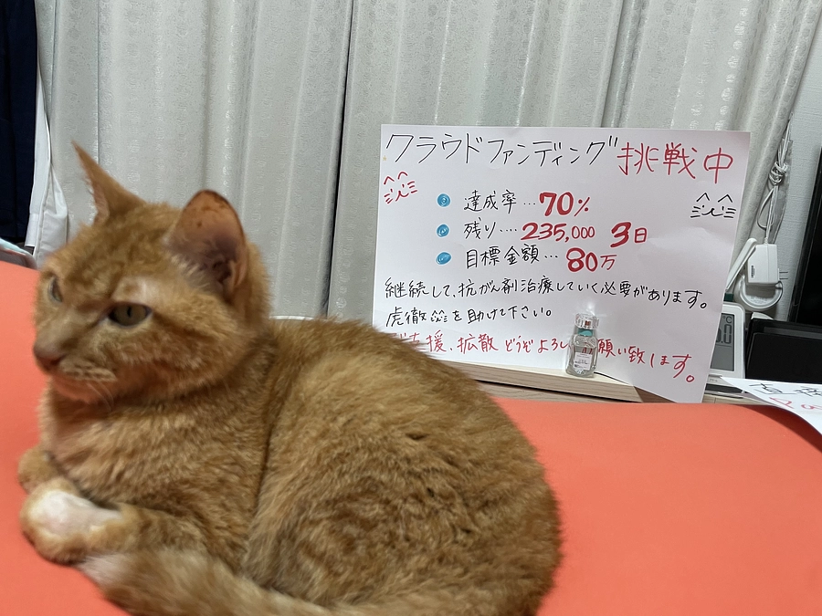 🔥　クラファン残り69時間　🔥