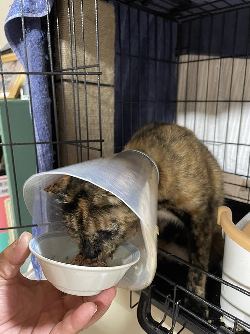 プロジェクト達成いたしました！感謝申し上げます。