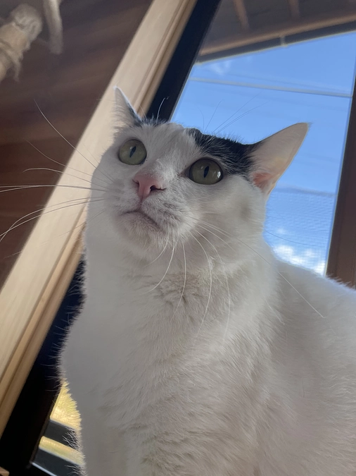 ありがとうございました^ - ^