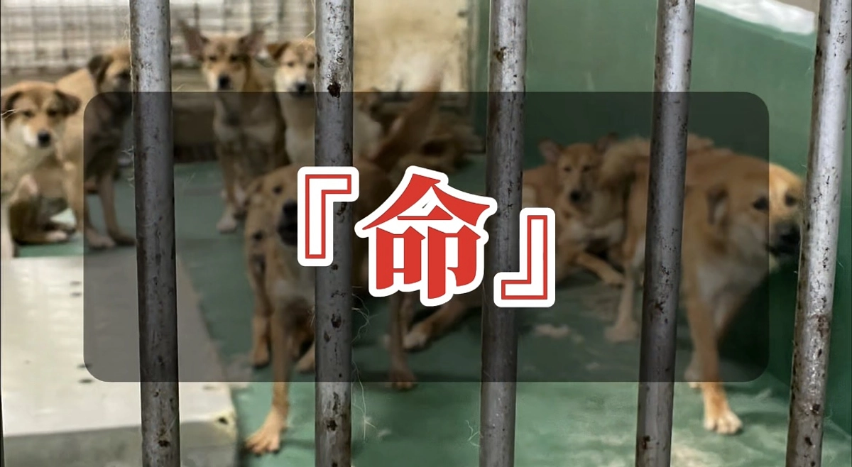 皆さんの力が…