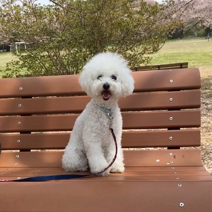 お客様の声（2）・たくさんの応援ありがとうございます