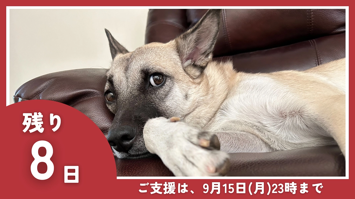 【残り8日】おすすめリターンのご紹介です！