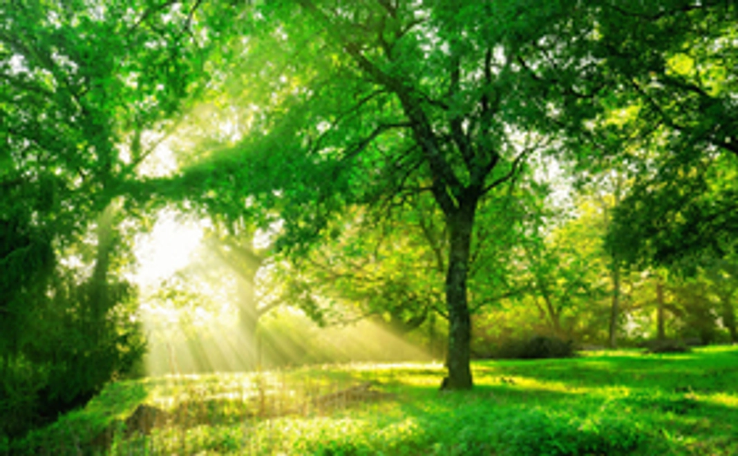 ホームページへのお名前掲載