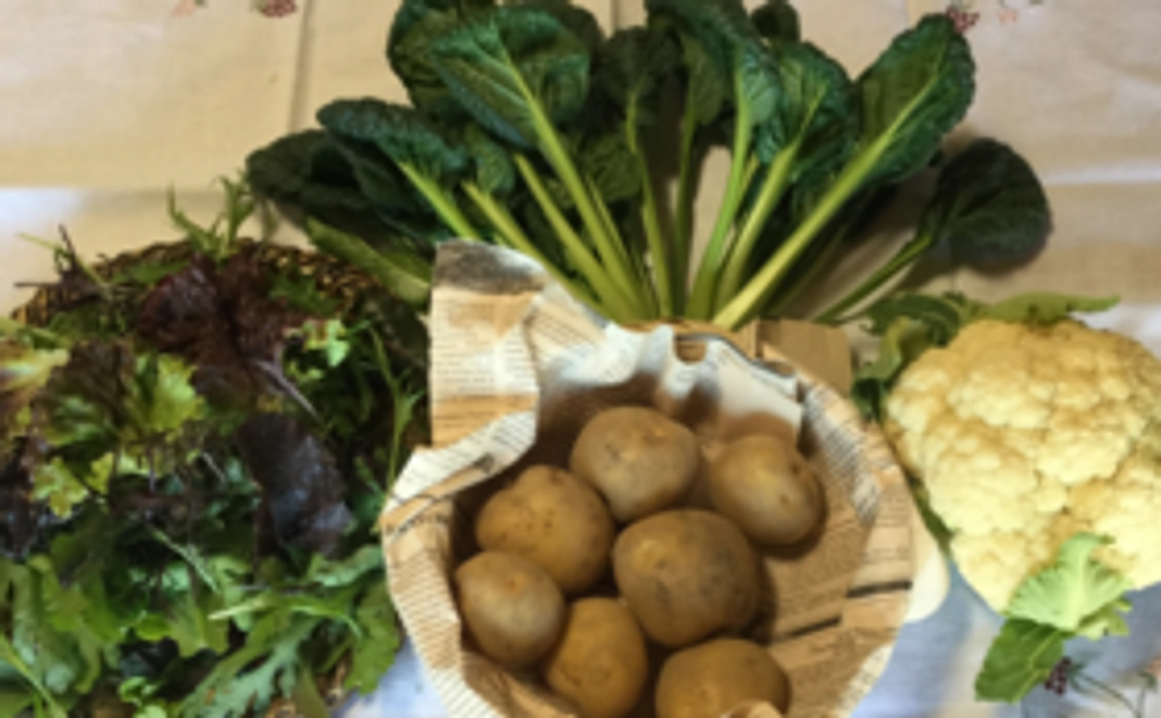 無農薬野菜または加工品