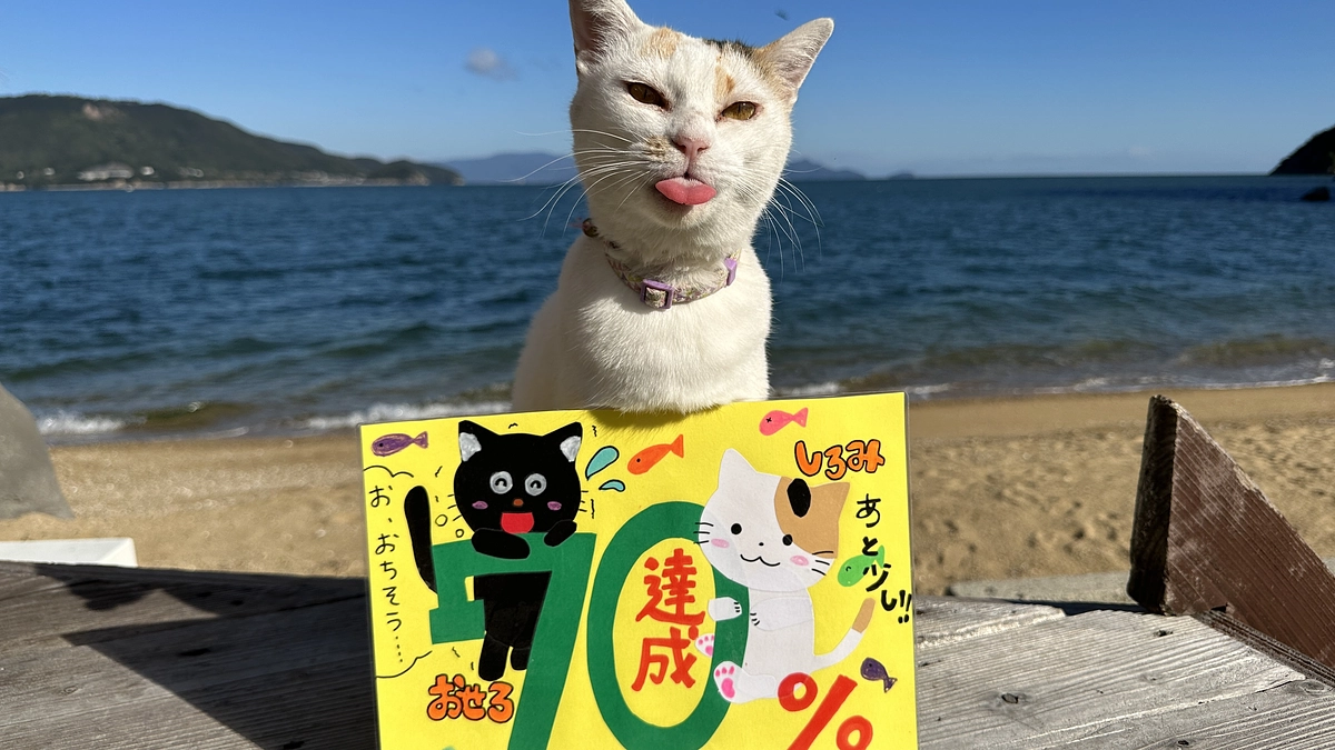 残り2日となりました！　＆　スタッフ紹介【＃9すーちゃん＆＃10 なおちゃん＆＃11よし子】