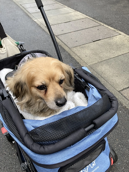 今朝は元気です