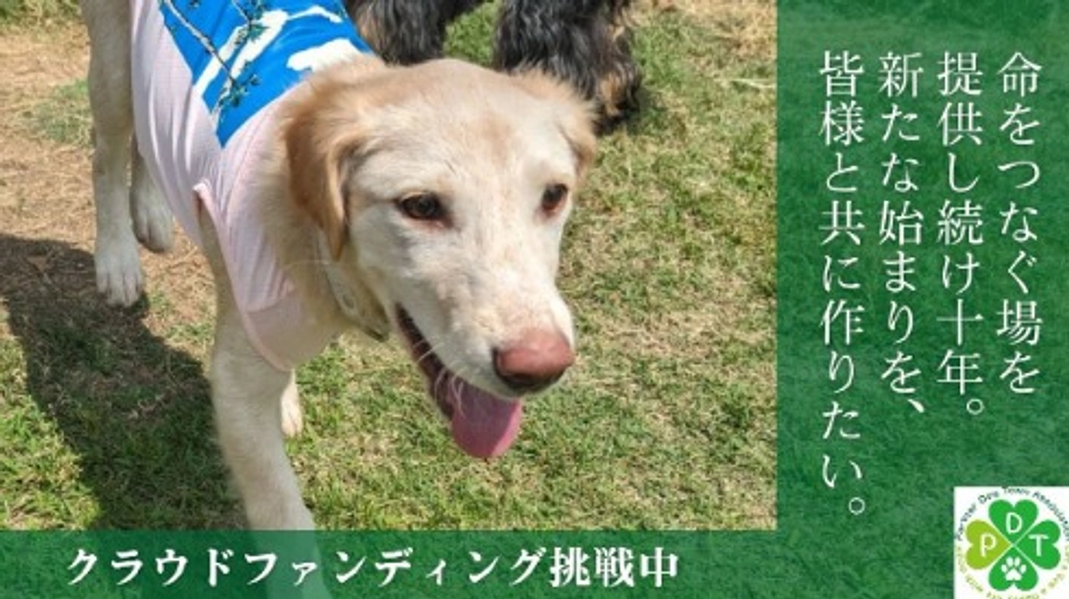 【新クラウドファンディング挑戦中！】2024年4月からの代表変更のご挨拶と新PJのご支援のお願い