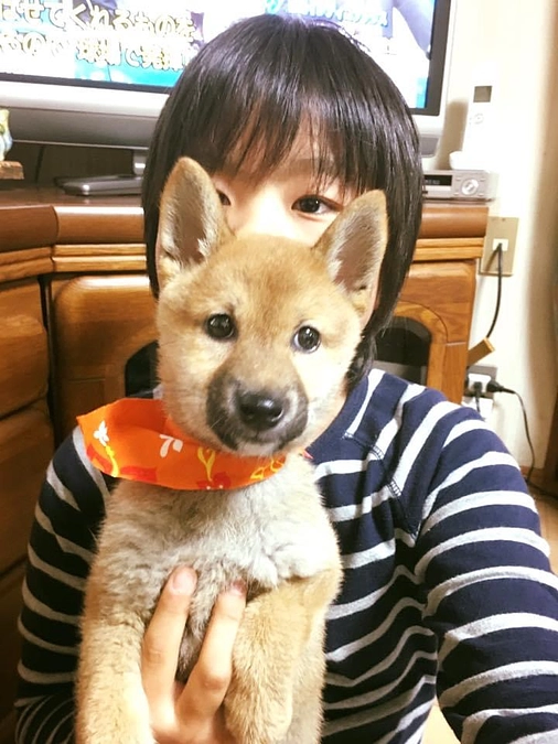 【700万円突破❣】園長、開放型シェルターへの熱い想いを語ります。