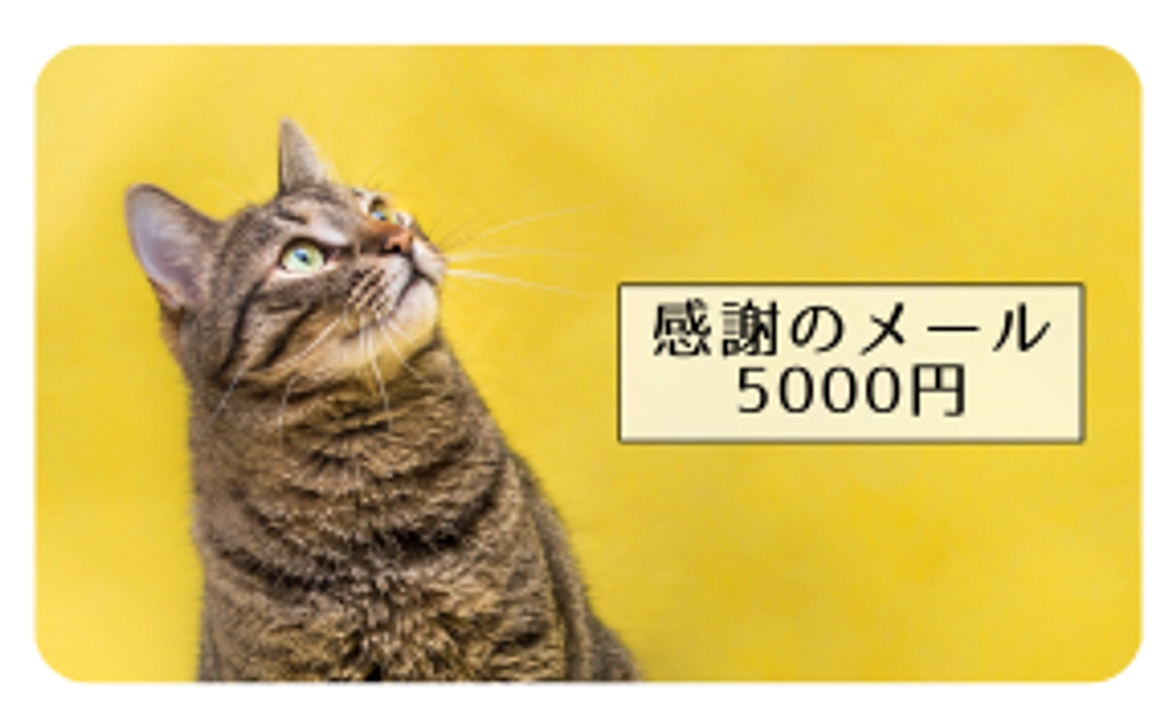 【感謝のメール】5000円