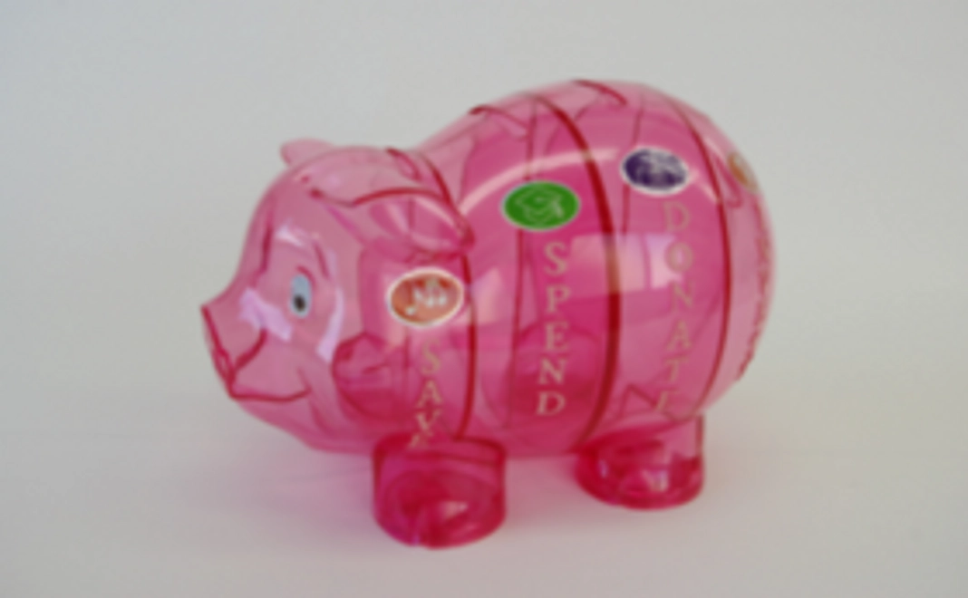 【一般向け】5,000円コース｜ハッピー・マネー®のピギーちゃん貯金箱（お礼のメッセージ付き）