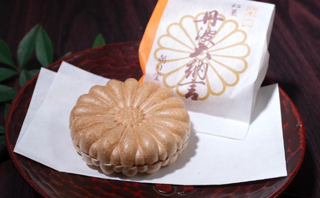 ライトサポート