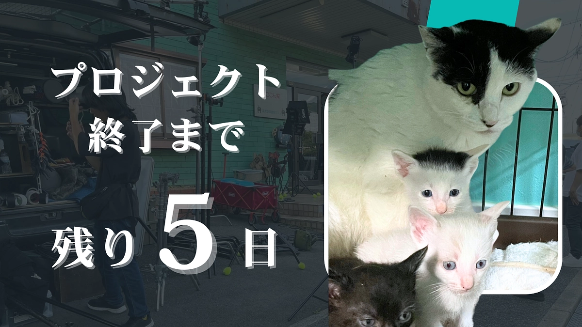 【終了まで、残り5日】目標達成のご報告とネクストゴール挑戦のお知らせ