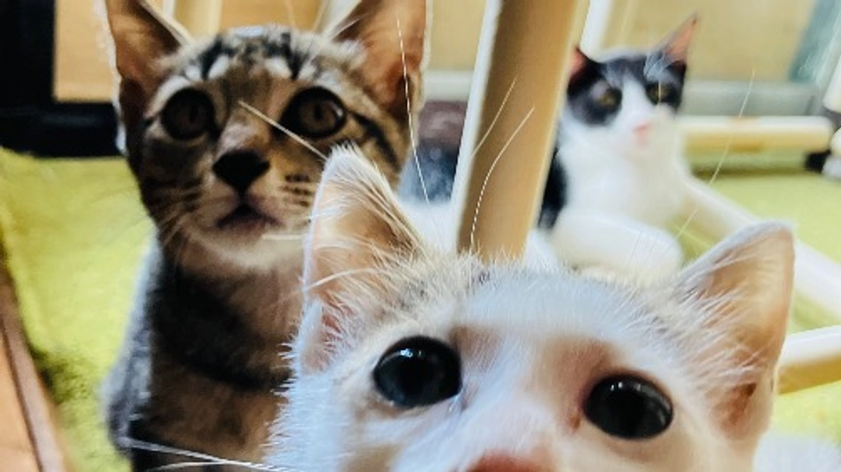 改修工事完了！！！！！