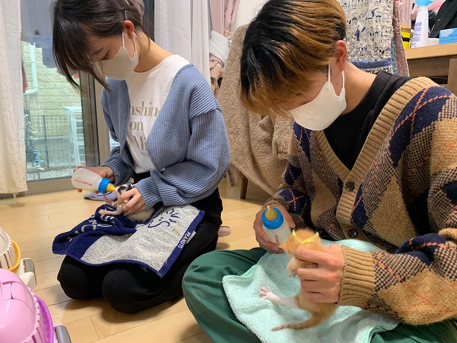 非営利型一般社団法人アニマルフォートさんより応援メッセージが届きました