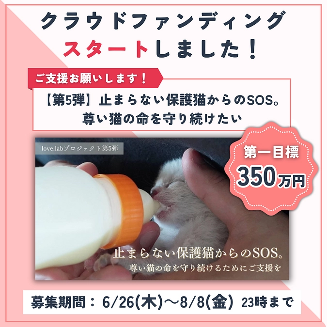 本日プロジェクトが公開されました！