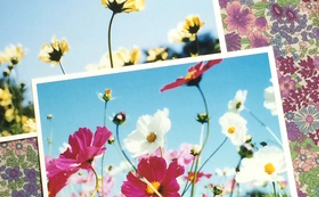 フォトカードとお礼の手紙