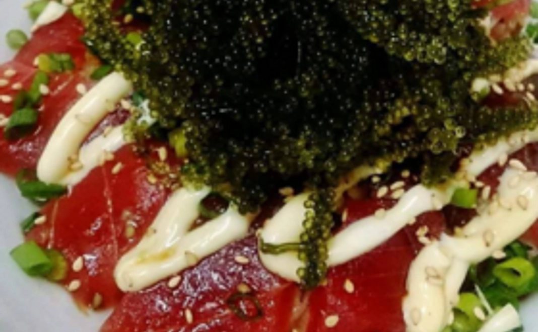 次回ご来店時にねこまんま一杯サービス！！