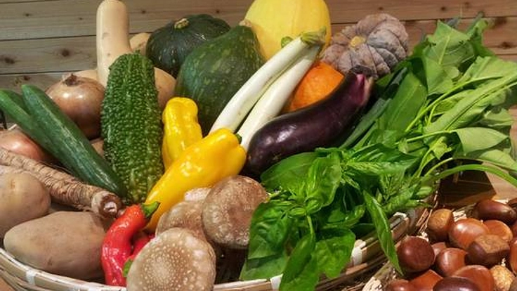 買い物困難者対策の為に！青果の移動販売車両を購入したい！