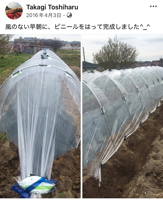 アブラムシとの戦い前編