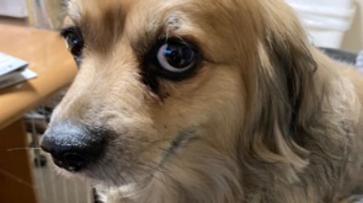 ご支援いただきました！