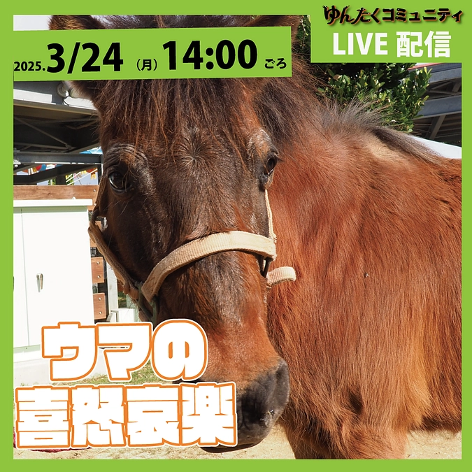 ゆんたくコミュニティ限定ライブ配信「ウマの喜怒哀楽」