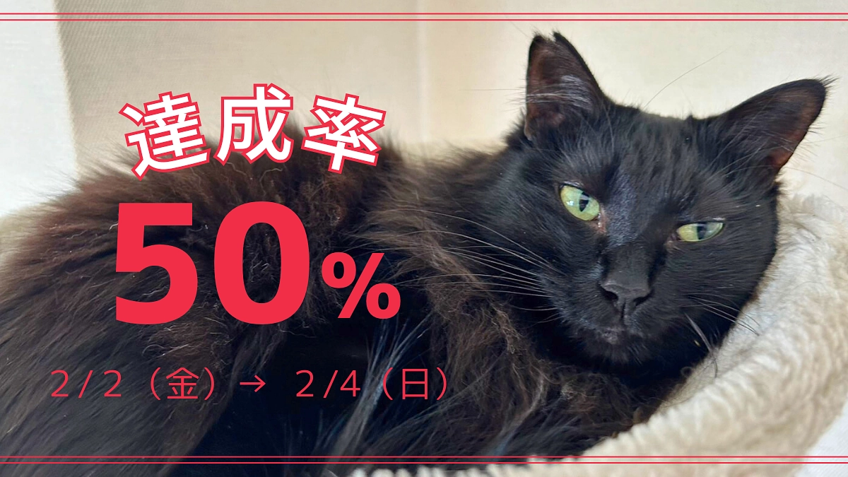 ご支援を下さったお陰でわずか２日で50%を達成する事が出来ました。本当にありがとうございます。